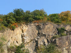 Granitsteinbruch bei Zwingenberg